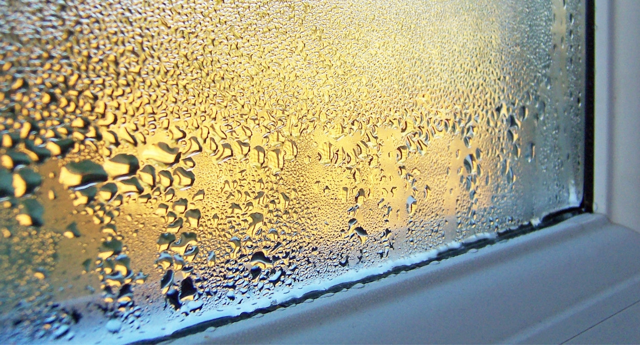 Cómo evitar la condensación en ventanas | Cadena88