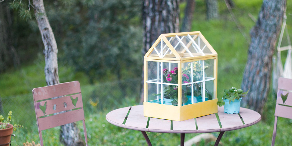 Crea tu propio mini invernadero en casa por menos de siete euros - Cadena  Dial